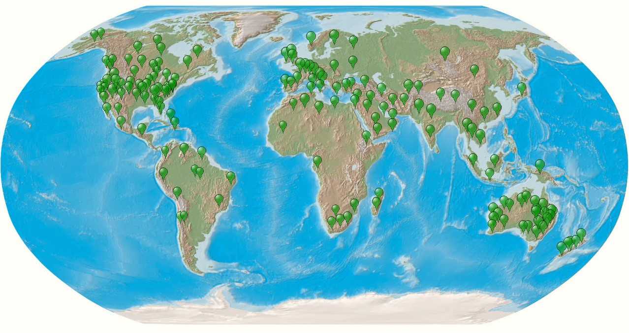 A world spirit healer map of some places Talal Zoabi's clients come from.